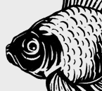 Fish Illustrations